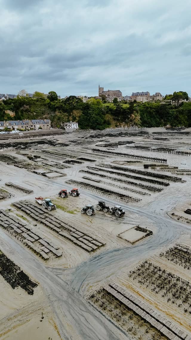 Procédé de l'huître Ostra Regal, des parcs d'Irlande à Cancale — Étape 1 · détail 2
