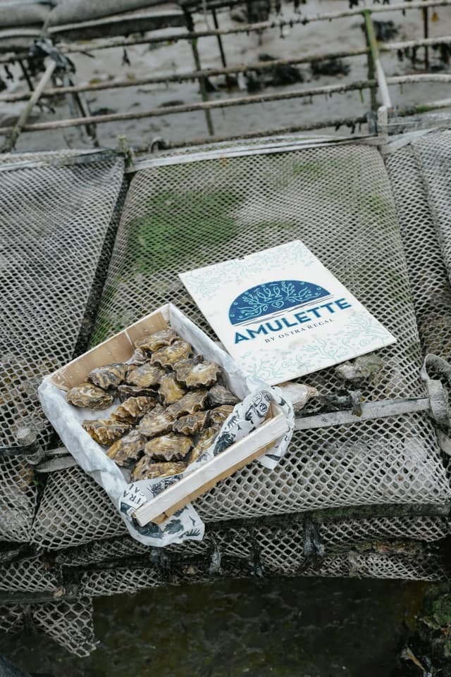 La Famille Boutrais, maison ostréicole à Cancale — Ambiance 21