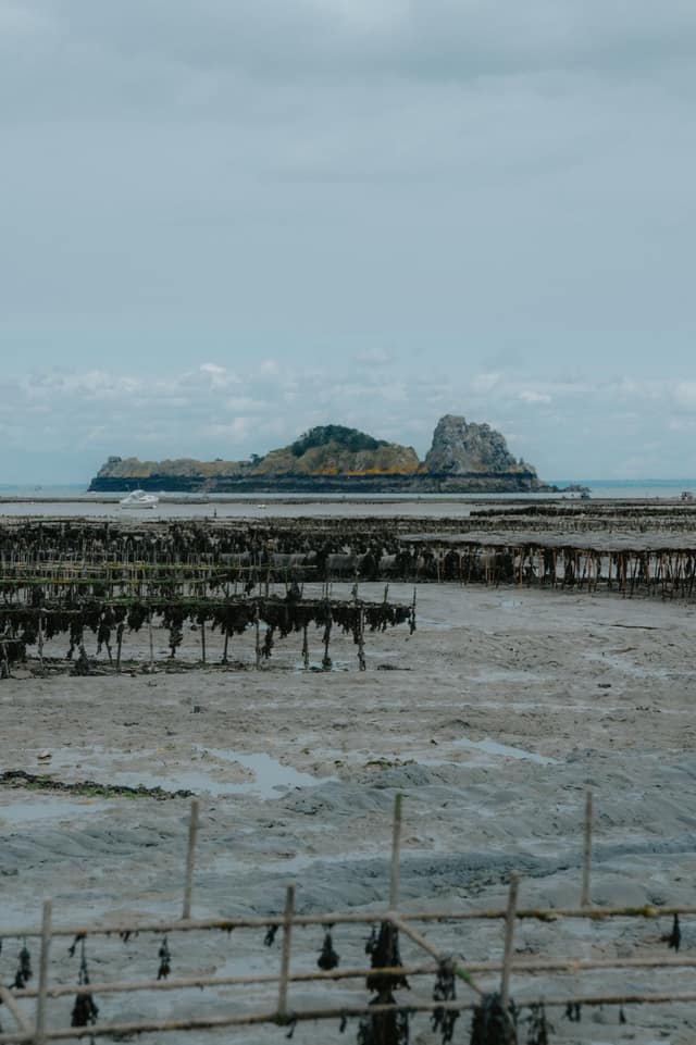 La Famille Boutrais, maison ostréicole à Cancale — Ambiance 22
